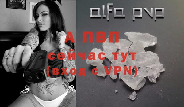 винт Пересвет