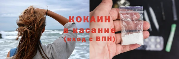 сатива Покачи