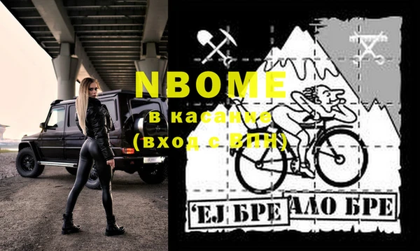 сатива Покачи