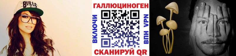 Купить где  Ачхой-Мартан  Псилоцибиновые грибы ЛСД 